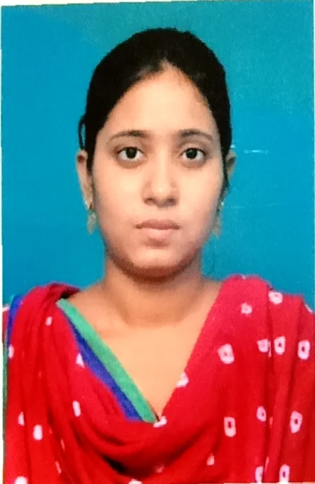 DESIGNING HOUSE (ACCOUNTANT)